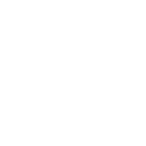 Intelligence